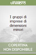 I gruppi di imprese di dimensioni minori