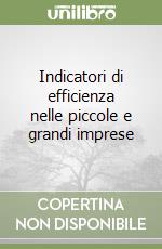 Indicatori di efficienza nelle piccole e grandi imprese libro