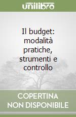 Il budget: modalità pratiche, strumenti e controllo libro