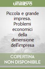 Piccola e grande impresa. Problemi economici della dimensione dell'impresa