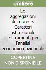 Le aggregazioni di imprese. Caratteri istituzionali e strumenti per l'analisi economico-aziendale libro