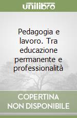 Pedagogia e lavoro. Tra educazione permanente e professionalità libro