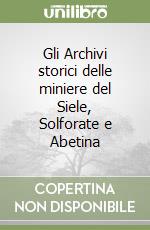 Gli Archivi storici delle miniere del Siele, Solforate e Abetina