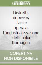 Distretti, imprese, classe operaia. L'industrializzazione dell'Emilia Romagna libro