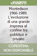 Montedison 1966-1989. L'evoluzione di una grande impresa al confine tra pubblico e privato libro