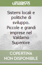 Sistemi locali e politiche di sviluppo. Piccole e grandi imprese nel Valdarno Superiore libro