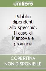 Pubblici dipendenti allo specchio. Il caso di Mantova e provincia libro