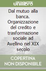 Dal mutuo alla banca. Organizzazione del credito e trasformazione sociale ad Avellino nel XIX secolo libro