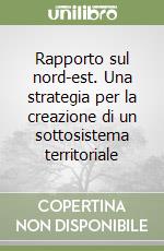 Rapporto sul nord-est. Una strategia per la creazione di un sottosistema territoriale libro