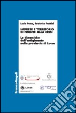 Imprese e territorio di fronte alla crisi. Le dinamiche dell'artigianato nella provincia di Lucca libro