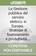 La Gestione pubblica del servizio elettrico in Europa. Strategie di finanziamento e produttività del lavoro libro