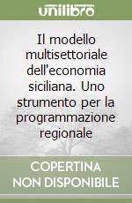 Il modello multisettoriale dell'economia siciliana. Uno strumento per la programmazione regionale libro