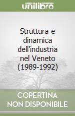 Struttura e dinamica dell'industria nel Veneto (1989-1992)