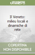 Il Veneto: milieu locali e dinamiche di rete