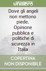 Dove gli angeli non mettono piede. Opinione pubblica e politiche di sicurezza in Italia libro