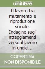 Il lavoro tra mutamento e riproduzione sociale. Indagine sugli atteggiamenti verso il lavoro in undici nazioni libro