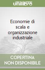 Economie di scala e organizzazione industriale