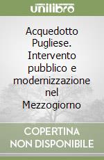 Acquedotto Pugliese. Intervento pubblico e modernizzazione nel Mezzogiorno libro