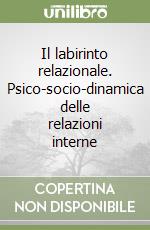 Il labirinto relazionale. Psico-socio-dinamica delle relazioni interne