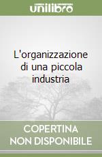 L'organizzazione di una piccola industria