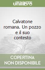 Calvatone romana. Un pozzo e il suo contesto libro