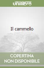 Il cammello