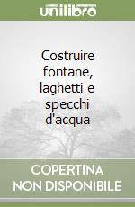 Costruire fontane, laghetti e specchi d'acqua libro