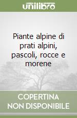 Piante alpine di prati alpini, pascoli, rocce e morene