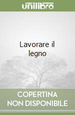 Lavorare il legno libro