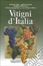 Vitigni d'Italia libro