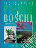 Piante e boschi in miniatura