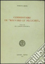 Commentaire de «Bouvard et Pécuchet»