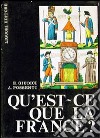 Qu'est ce que la France? libro