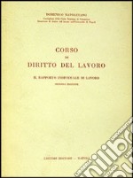 Corso di diritto del lavoro. Il rapporto individuale di lavoro libro