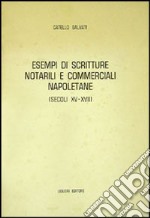 Esempi di scritture notarili commerciali napoletane (secc. XV-XVII) libro