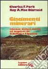 Giacimenti minerari libro