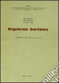 Algebraic surfaces