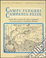 Campi Flegrei. Campania Felix. Il golfo di Napoli tra storia ed eruzioni. Guida alle escursioni dei vulcani napoletani libro