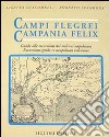 Campi Flegrei. Campania Felix. Il golfo di Napoli tra storia ed eruzioni. Guida alle escursioni dei vulcani napoletani libro