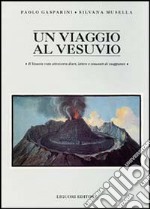 Un viaggio al Vesuvio. Il Vesuvio visto attraverso diari, lettere e resoconti di viaggiatori libro