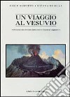 Un viaggio al Vesuvio. Il Vesuvio visto attraverso diari, lettere e resoconti di viaggiatori libro