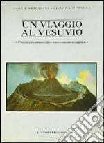 Un viaggio al Vesuvio. Il Vesuvio visto attraverso diari, lettere e resoconti di viaggiatori libro