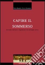 Capire il sommerso. Un'analisi del lavoro irregolare al di là dei luoghi comuni libro