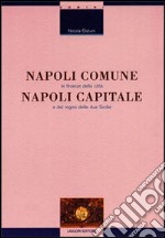 Napoli comune, Napoli capitale. Le finanze della città e del Regno delle Due Sicilie libro