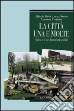 La città, una e molte: Torino e le sue dimensioni spaziali libro