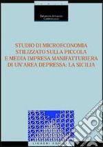 Studio di microeconomia stilizzato sulla piccola e media impresa manifatturiera di un'area depressa: la Sicilia