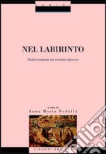 Nel labirinto. Studi comparati sul romanzo barocco libro