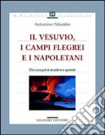 Il Vesuvio, i Campi Flegrei e i napoletani. Che cosa potrà accadere e quando libro