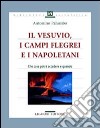 Il Vesuvio, i Campi Flegrei e i napoletani. Che cosa potrà accadere e quando libro