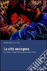 La città ansiogena. Le cronache e i luoghi dell'insicurezza urbana a Torino libro